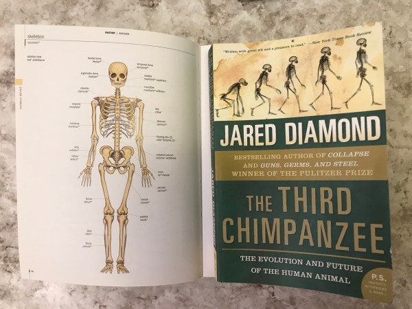 BD88D001-1DD6-4AB7-B3AB-FC0DE2FFA60F